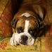 Profile Picture of Dathel Kempf (@dathel.kempf) on Facebook