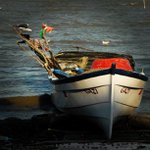 Profile Picture of Rayburn Edith (@notjimrocker) on Instagram