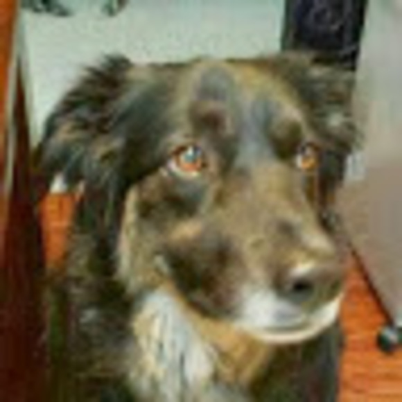 Profile Picture of Susan Peplow (@speplow7) on Poshmark