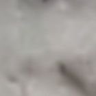 Profile Picture of Do (@Nathan_Damien) on Twitter