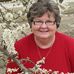 Profile Picture of Joyce Trout (Joyce Tilley Trout) (@joyce.trout.31) on Facebook
