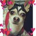 Profile Picture of Leo Barch (@leo.barch) on Facebook