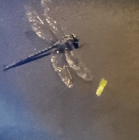 Profile Picture of Kimberly Turbak (@kmzt2121) on Poshmark