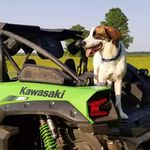 Profile Picture of Randy McDaniel (@randallmackwolf) on Instagram