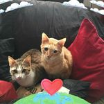 Profile Picture of Robert Lozon (@robertlozon) on Instagram