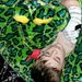 Profile Picture of James Schenk (@jds081468) on Pinterest