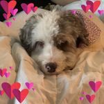 Profile Picture of MarIlynn Corelli (@marilynncorelli) on Instagram