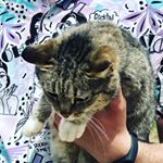 Profile Picture of Andrew (@t.w.i.s.s.s) on Instagram