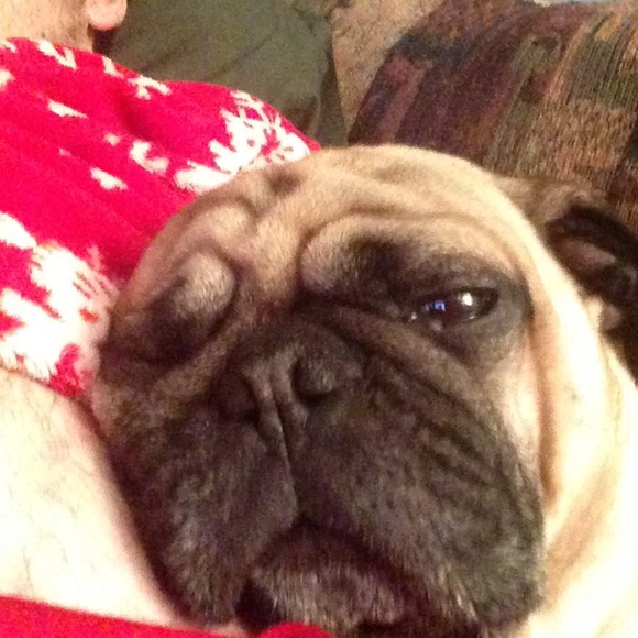 Profile Picture of Hunter Mikulina (@hmikulina) on Poshmark