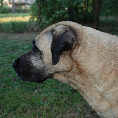 Profile Picture of Richard Hutchison (@Matissesa) on Twitter