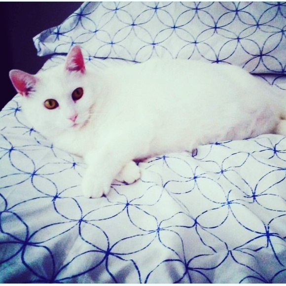 Profile Picture of Zoe Tatgenhorst (@zoetat535) on Poshmark