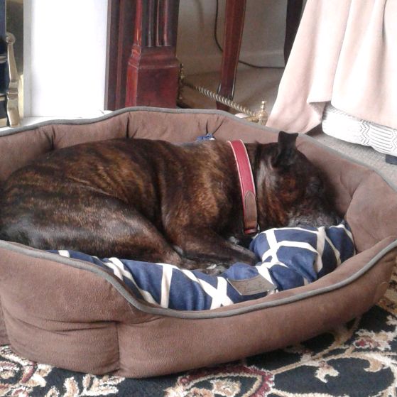 Profile Picture of liam (@christopherbarks) on Tiktok