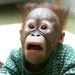 Profile Picture of Looper Tran (@jamestran32bds) on Pinterest