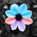 Profile Picture of Michael Pearse (@michael.pearse) on Instagram