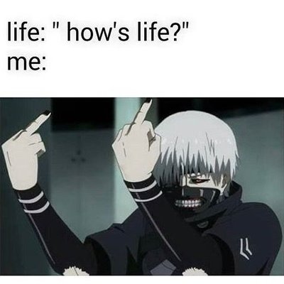 Profile Picture of Sean Wisniewski (@SeanWisniewski2) on Twitter