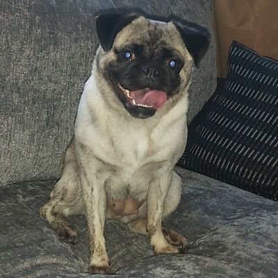 Profile Picture of Gary Huggins (@soupytwist53) on Twitter