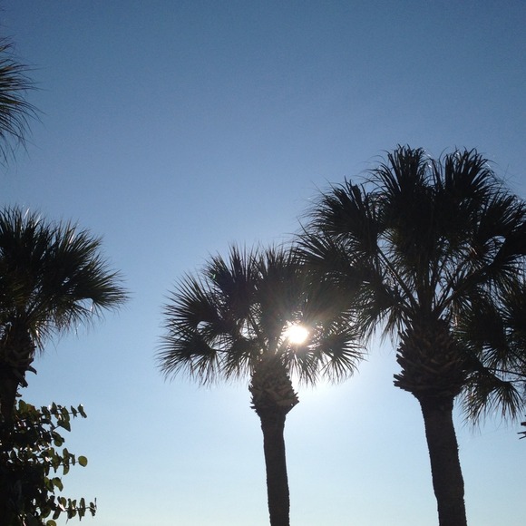 Profile Picture of Mitzi Variali (@mvariali) on Poshmark