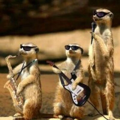 Profile Picture of Michael Harr (@michaelharr001) on Twitter