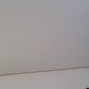 Profile Picture of Daniel Hottel (@biggdigg1905) on Twitter