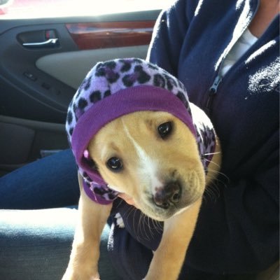 Profile Picture of Michael Slayton (@michaelslayton9) on Twitter