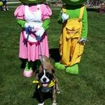 Profile Picture of Michael Fremut (@michaelfremut) on Instagram