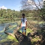 Profile Picture of David Scherzinger (@dav_scherz) on Instagram