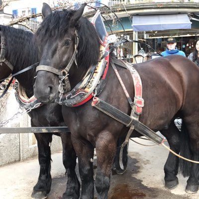 Profile Picture of joshua_ken (@joshua_ken) on Tiktok