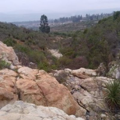 Profile Picture of Flavio Escobar (@flavioescobar10) on Twitter