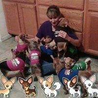 Profile Picture of Lorie Compton (@lorie-compton-1) on Quora