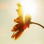 Profile Picture of Brianna Cates (@brii_photograghy_16) on Instagram