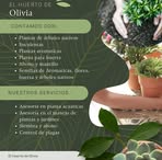 Profile Picture of Cecilia Caldera (@Cecilia-Caldera) on Facebook