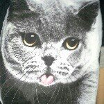 Profile Picture of Michael Bellizzi (@beleazy) on Instagram