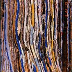 Profile Picture of Isaac Stevens (@ikestevens) on Instagram