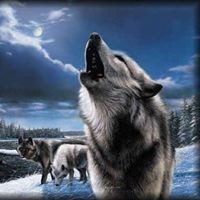 Profile Picture of Doug Kelly (@doug-kelly-26) on Quora