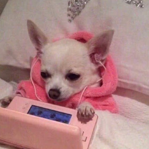 Profile Picture of Michelle Chimal (@mikkichimal) on Poshmark