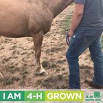 Chandler Harris - Instagram Profile Picture of Chandler Harris (@charris.0710) on Instagram