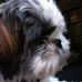 Profile Picture of Nala PearceSmith (@nala.pearcesmith) on Facebook