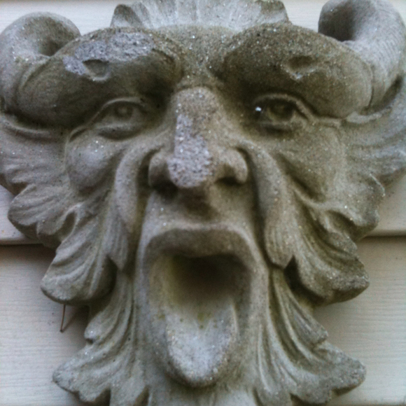 Profile Picture of Dawn Grabowski (@veganista) on Poshmark