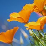 Profile Picture of Christina Barrowman (@chrisbarrow20) on Instagram