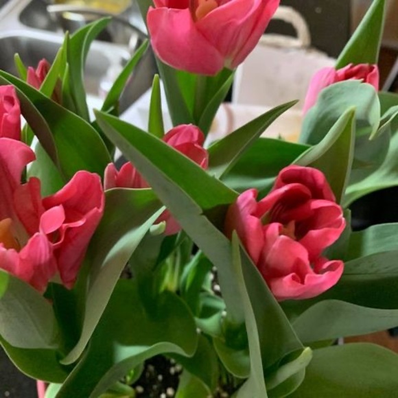 Profile Picture of Jayashree Chatterjee (@jayashreechatte) on Poshmark