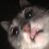 Profile Picture of Beth Addington (@moonlategirl) on Tiktok