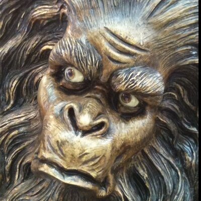 Profile Picture of Robert Brumbaugh (@BrumbaughRobert) on Twitter