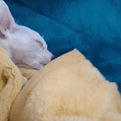 Profile Picture of Arely Castillo (@ArelyCastillo-rg9gw) on Youtube