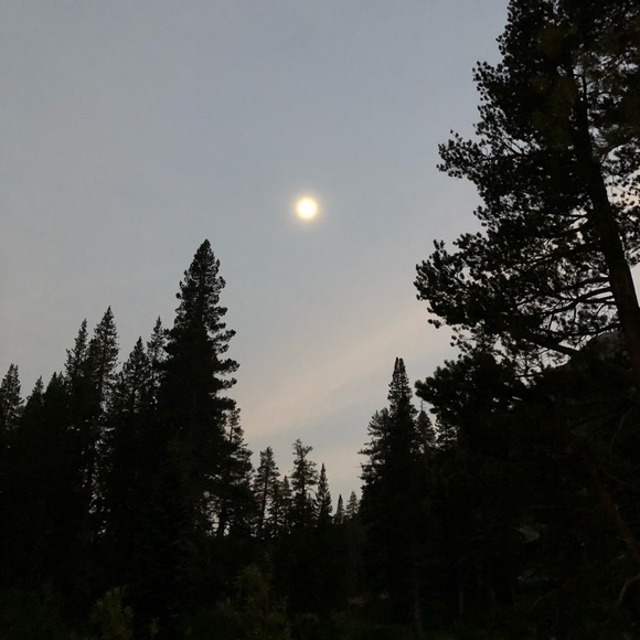 Profile Picture of Lisa Rawlings (@lisarawlings) on Poshmark