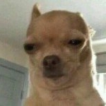 Profile Picture of if you dont like me fuck off (@ivanwilliamsonisstupid) on Instagram