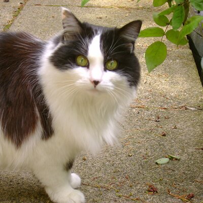 John - Twitter Profile Picture of John (@Porridge) on Twitter