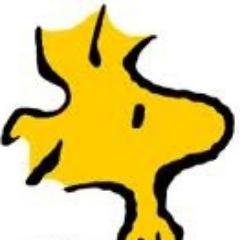 Profile Picture of Michael Rieger (@woodstock_41) on Twitter