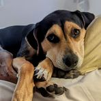 Jerry Stuart Silverman - Facebook Profile Picture of Jerry Stuart Silverman (@jerry.s.silverman) on Facebook