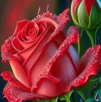 Profile Picture of Lidia Cossio (@Lidia-Cossio) on Facebook