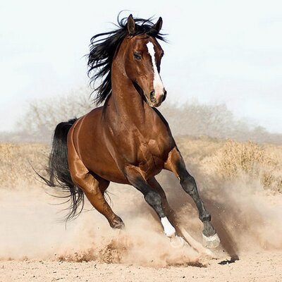 Profile Picture of Eloise McCarthy (@elliepop1) on Twitter